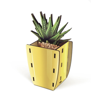 Pop Up Plant 'Aloe'