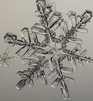 Microscopic Photographic Print of a Snowflake.