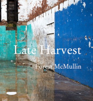 Book cover of 'Late Harvest' with a photographic image of an interior corner of degraded brick walls with flaking white, blue and green paint. Standing water is pooled on the concrete floor.