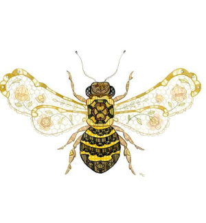 An illustration of a honey bee with outstretched wings.