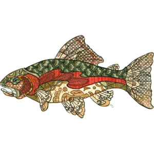 A print with an illustration of a green trout with a red stripe down its side. 