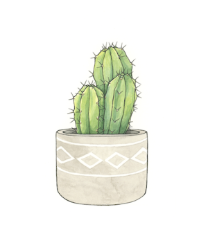 A print with an illustration of three green spiky cacti in a grey pot with a geometric pattern.