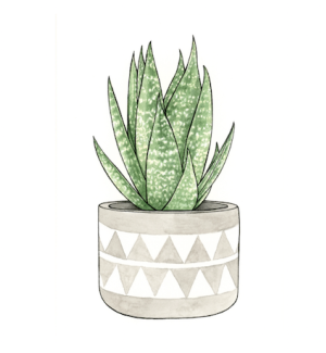 A print with an illustration of a spiky green aloe plant in a grey pot with a geometric pattern.