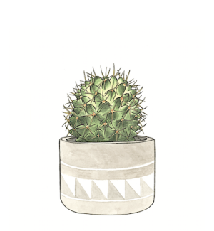 A print with an illustration of a spiky barrel shaped cactus in a grey pot with a geometric pattern.