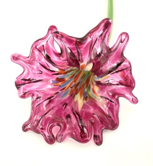 Glass flower that has a multi-colored throat and a full bright raspberry colored petaled bloom with a long green stem.