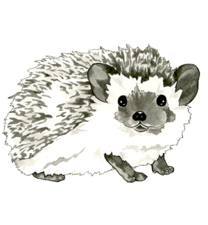 A print with an illustration of a plump hedgehog looking straight at the viewer.