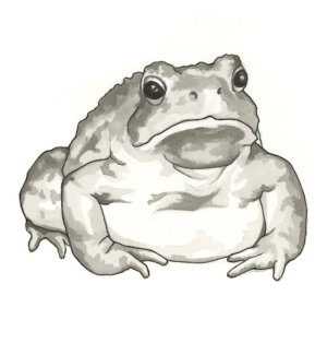 A print with an illustration of a sad, fat toad.