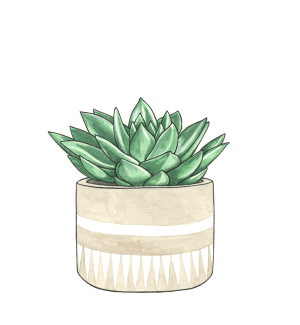 A print with an illustration of a succulent in a grey pot with a geometric pattern.