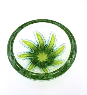 a clear round glass bowl with a starfish like lime green design in the center with air bubbles around it.
