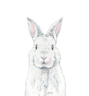 a hand illustration of a three quarter view of a rabbit standing upright.