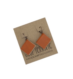 brick color book earrings