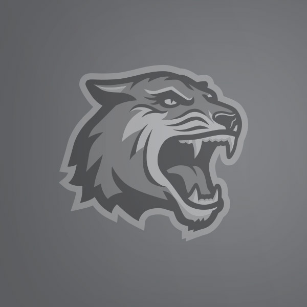 placeholder image with RIT tiger logo