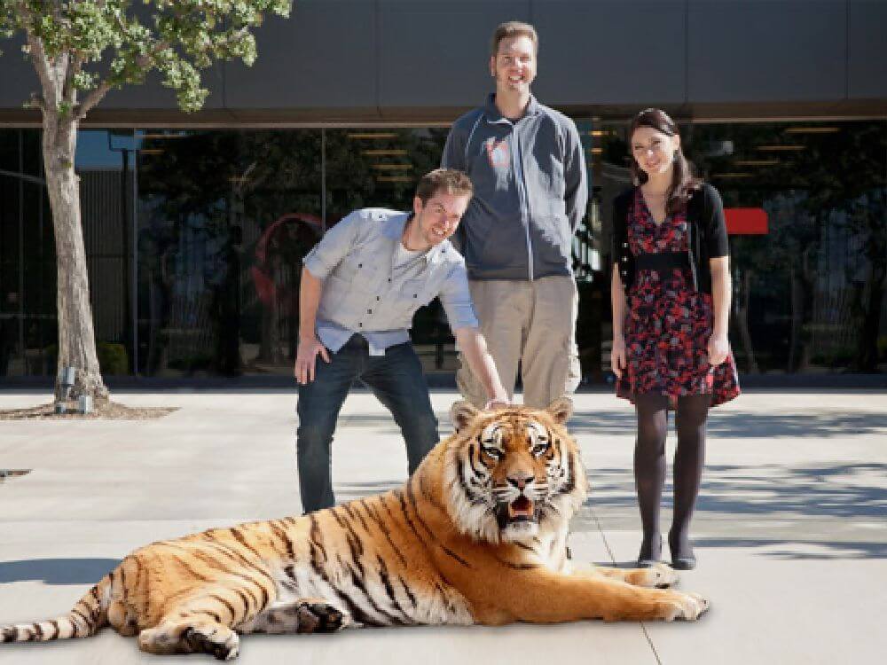 Three people standing behind a tiger with the one on the left reaching down to pet it.