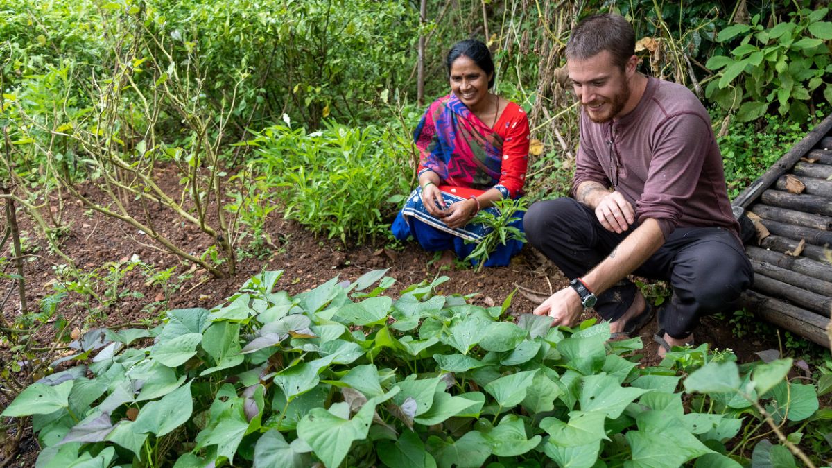 Two individuals working together in a garden, examining plants.