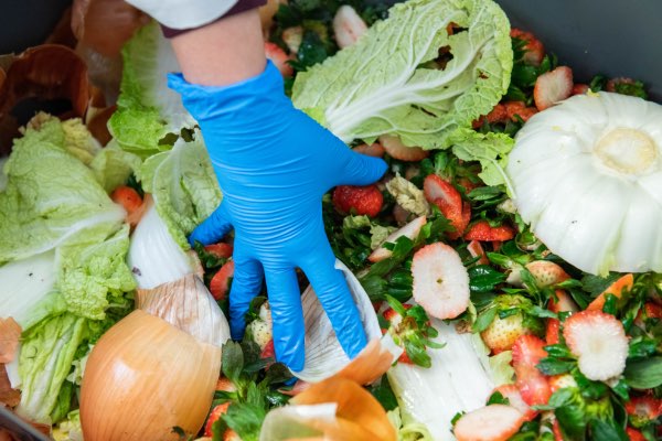 Food Waste being processed