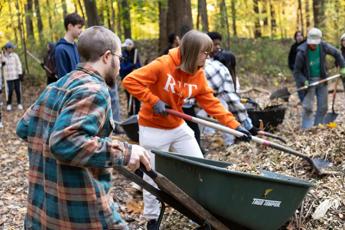 R I T students working to clean up a spot in a wooded area, shoveling debris into wheelbarrows.
