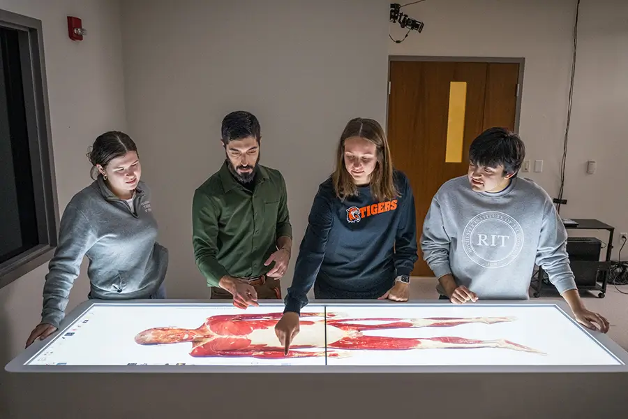 Four people standing around an anatomy table.