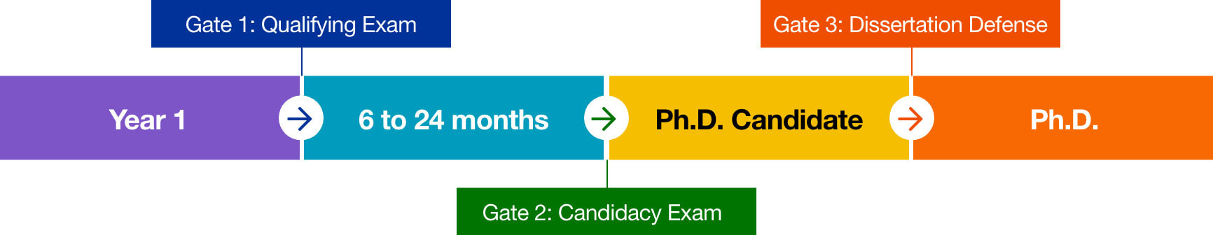 Info graphic showing the process for earning a Ph.D., as described in the curriculum table above.