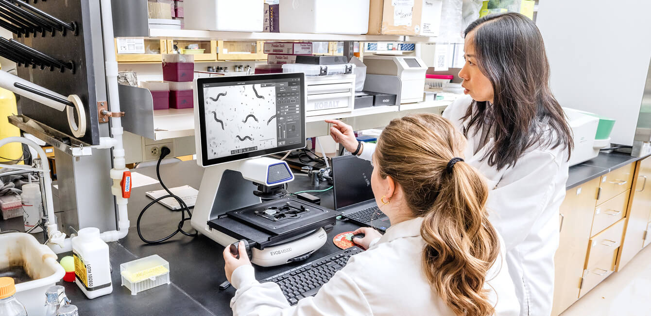 Two people in lab coats looking at a display showing a microscopic view of worms.