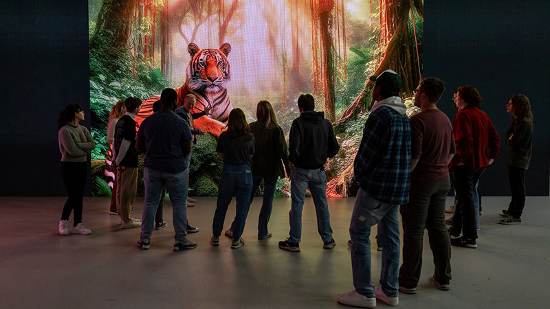 A group of people standing in front of an art gallery style image of a tiger in the jungle.