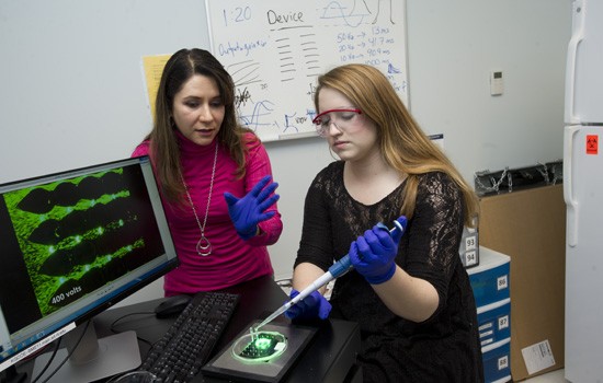 RIT ranked among top national universities | RIT