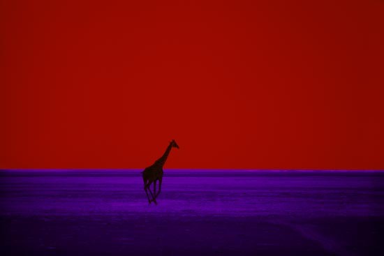 Pete Turner sees jazz in living color | RIT