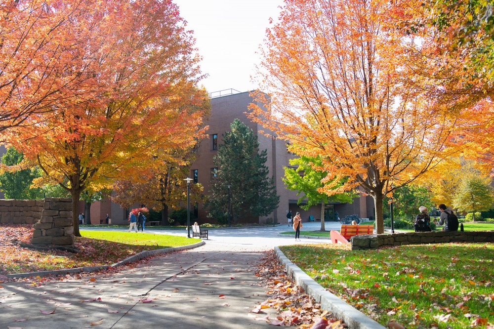 Two orange trees on either side of the photo in Kodak Quad on campus, students walking, sunlight