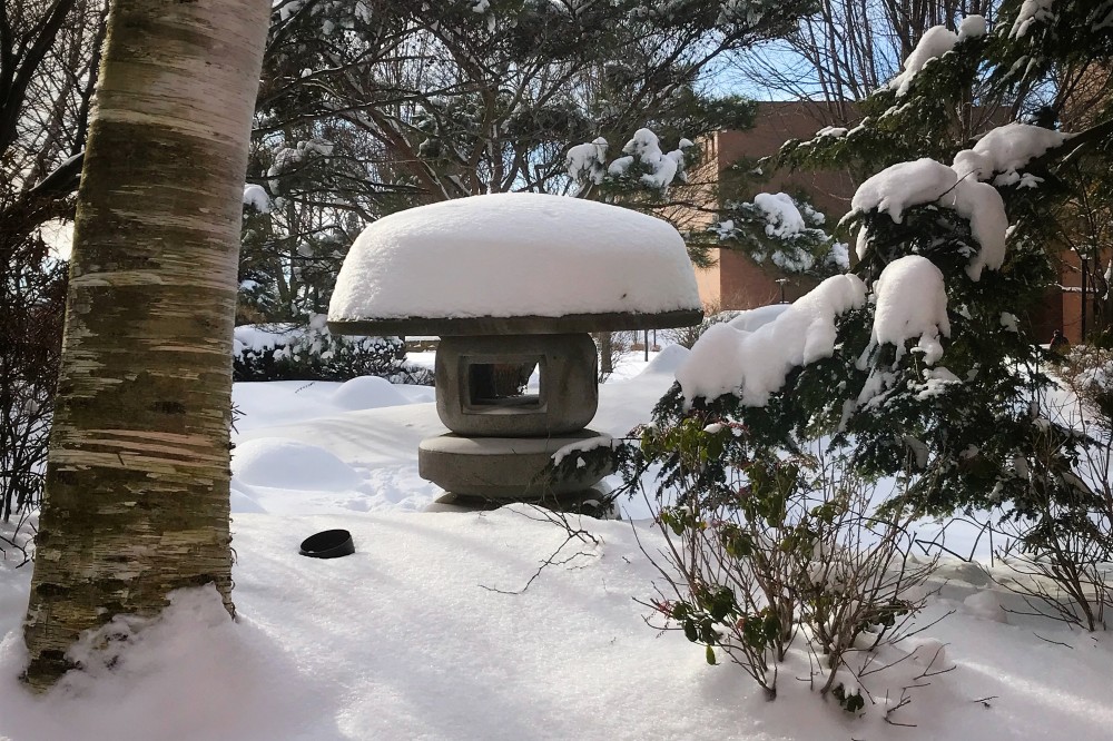 Tojo garden with snow