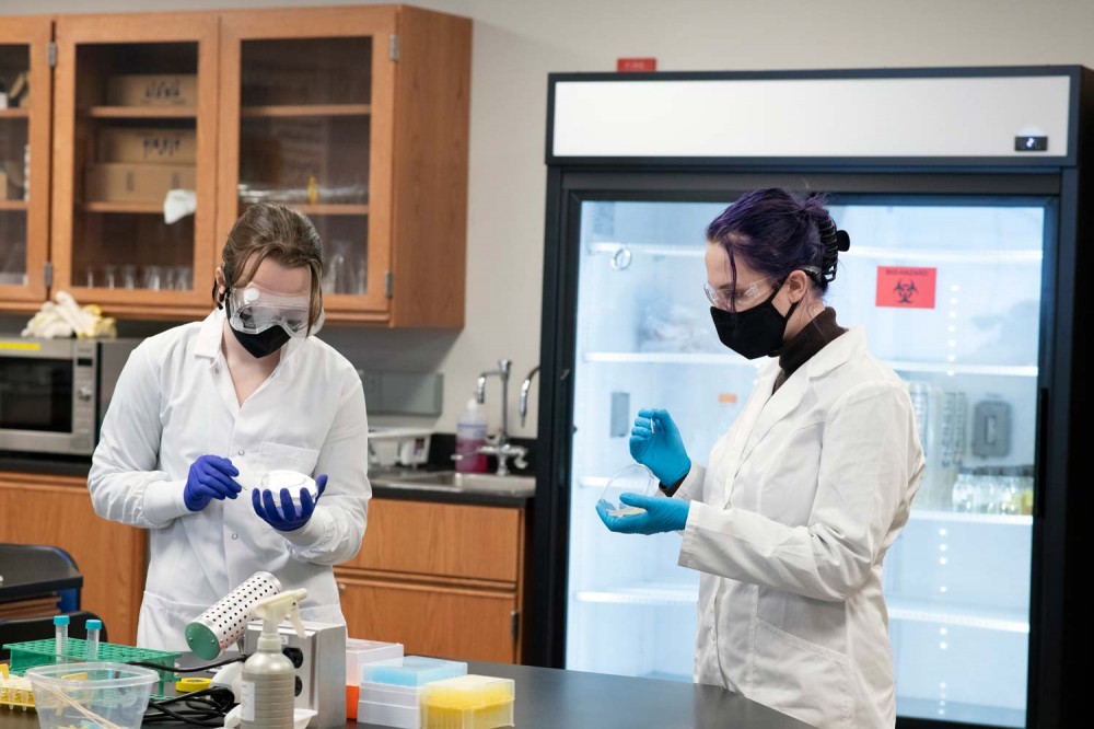 two students working in biology lab holding petri dishes and wearing masks