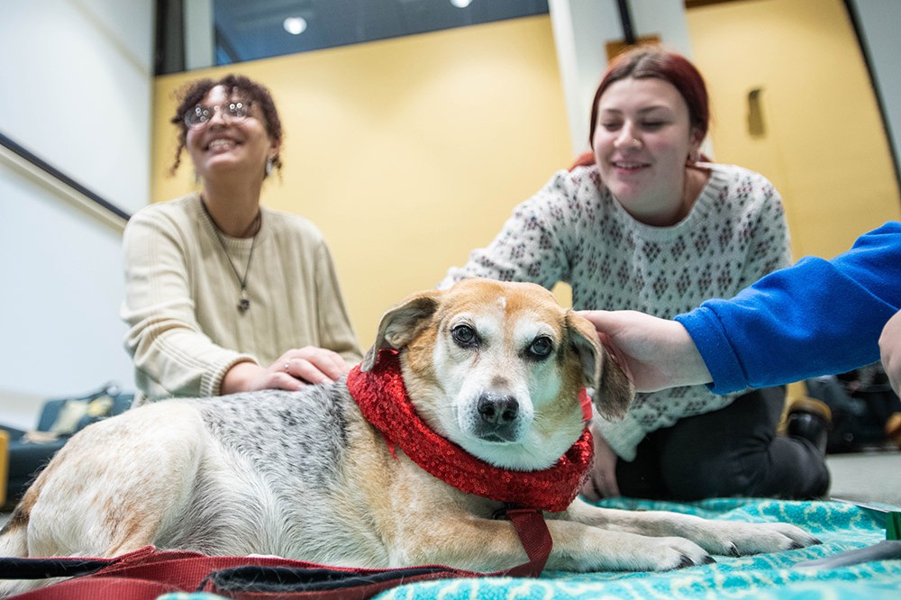 two students petting a medium-size dog.