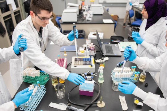 students in a lab setting wear lab coats use pipettes.