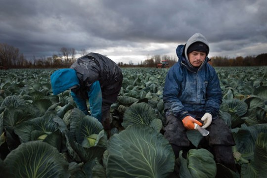 Two people in a field