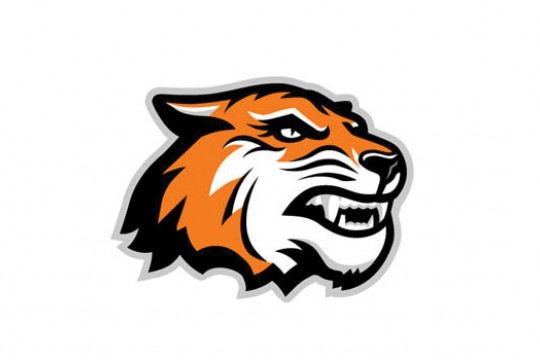 RIT logo