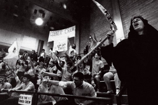 Person wearing costume in stands