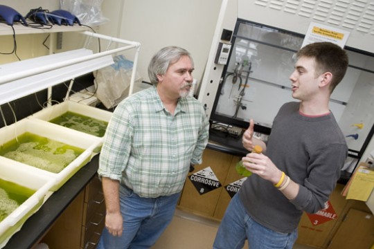 Student working in lab