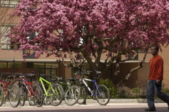 Person walking past bicycles