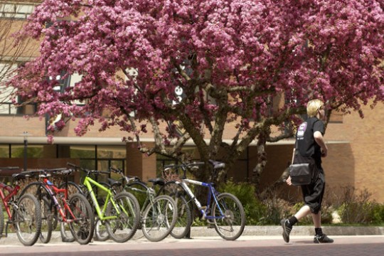 Person walking outside