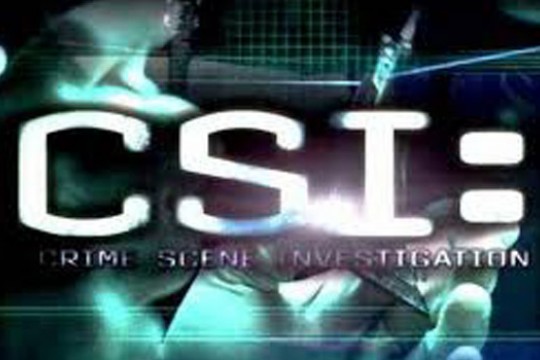 Logo for CSI