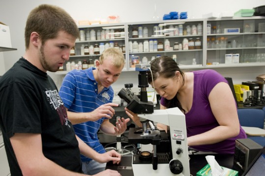 People working with microscope in laboratory 
