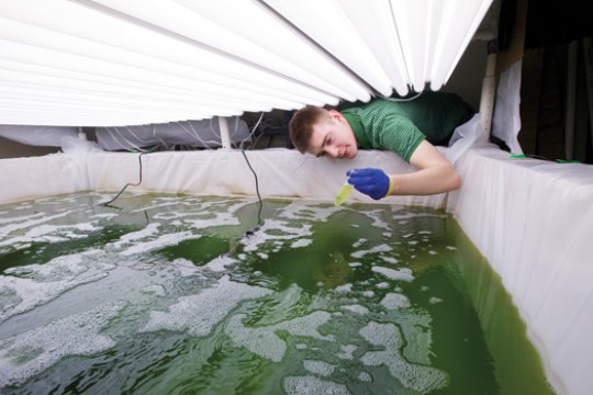 Person collecting water