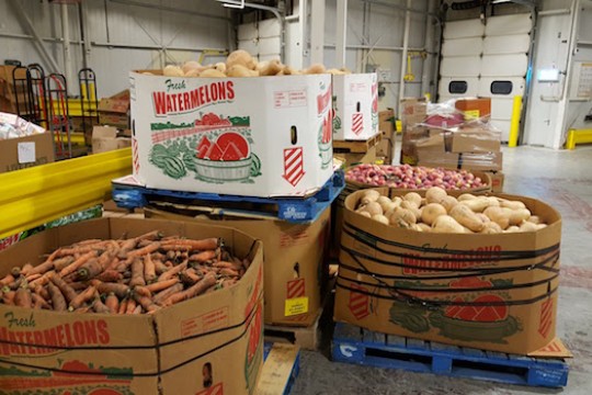 Large food donation bins containing carrots, apples, and squash.