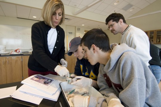 Professor helping students
