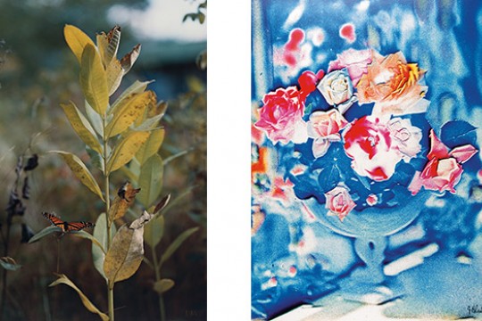 Two Pictures of floors side by side