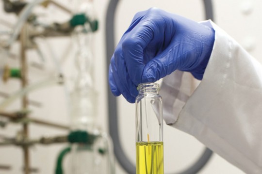 Picture of science experiment