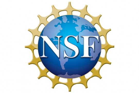 NSF logo. White text saying "NSF" on top of a blue globe with gold crowning.