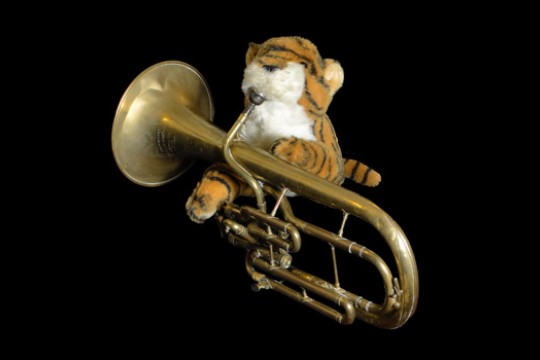 Picture of Stuffed animal and instrument