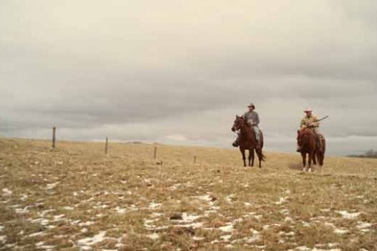 People riding on horses