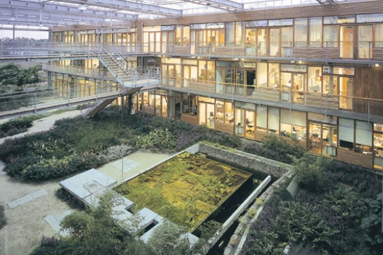 Picture of inside courtyard in the middle