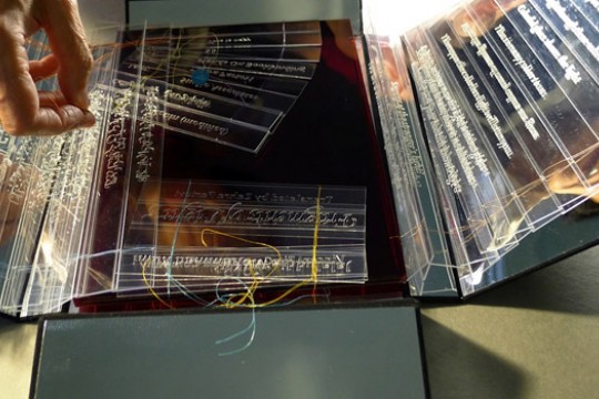 Picture of multiple rulers