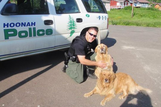 Person playing with dog